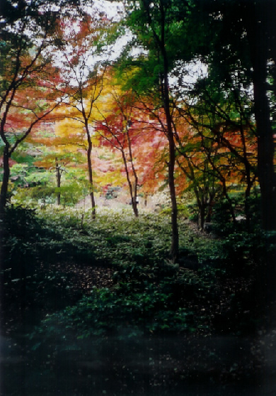 Scan0001.jpg